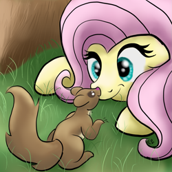 Size: 1481x1480 | Tagged: safe, artist:doodledonutart, imported from derpibooru, fluttershy, pegasus, pony, squirrel, ponytober