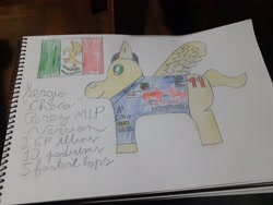 Size: 4128x3096 | Tagged: safe, artist:super-coyote1804, imported from derpibooru, pony, checo perez, colored pencil drawing, formula 1, mexican flag, mexico, ponified, sergio perez, solo, traditional art