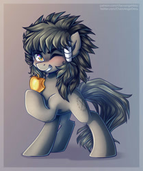 Size: 1000x1195 | Tagged: safe, artist:chaosangeldesu, imported from derpibooru, oc, oc only, earth pony, pony, commission, male, solo, stallion