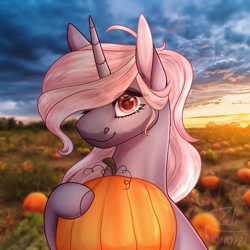 Size: 4000x4000 | Tagged: safe, artist:pokaparida, imported from derpibooru, oc, oc only, pony, unicorn, absurd resolution, female, mare, pumpkin, solo