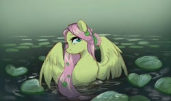 Size: 2048x1207 | Tagged: safe, artist:ijustmari, imported from derpibooru, fluttershy, pegasus, pony, aside glance, bust, female, lilypad, looking at you, mare, partially submerged, solo, spread wings, turned head, water, wings