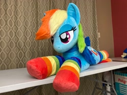 Size: 4032x3024 | Tagged: safe, artist:qtpony, imported from derpibooru, rainbow dash, pony, clothes, irl, life size, photo, plushie, rainbow socks, socks, solo, striped socks