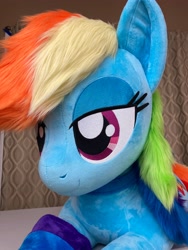 Size: 3024x4032 | Tagged: safe, artist:qtpony, imported from derpibooru, rainbow dash, pony, clothes, irl, life size, photo, plushie, rainbow socks, socks, solo, striped socks