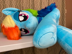 Size: 4032x3024 | Tagged: safe, artist:qtpony, imported from derpibooru, rainbow dash, pony, clothes, frog (hoof), irl, life size, photo, plushie, solo, underhoof