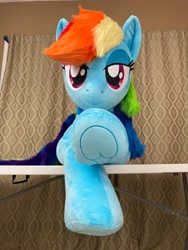 Size: 3024x4032 | Tagged: safe, artist:qtpony, imported from derpibooru, rainbow dash, pony, clothes, frog (hoof), irl, life size, photo, plushie, solo, underhoof