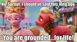 Size: 1035x563 | Tagged: safe, edit, edited screencap, imported from derpibooru, screencap, sprout cloverleaf, earth pony, pony, spoiler:my little pony: a new generation, aurora borealis, caption, cropped, emperor sprout, g5, grounded, image macro, male, maretime bay, medal, my little pony: a new generation, phyllis cloverleaf, stallion, text