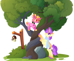 Size: 1280x1066 | Tagged: safe, artist:lilywolfpie, imported from derpibooru, luster dawn, oc, oc:pear jam, pony, alternate hairstyle, bird house, clothes, collar, intertwined trees, offspring, parent:big macintosh, parent:sugar belle, parents:sugarmac, rock, scarf, simple background, transparent background, tree