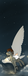 Size: 905x2400 | Tagged: safe, artist:royvdhel-art, imported from derpibooru, oc, oc only, pegasus, pony, flying, lantern, male, mouth hold, night, pegasus oc, stallion, stars, wings