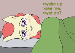 Size: 1414x1000 | Tagged: safe, artist:happy harvey, imported from derpibooru, twist, earth pony, pony, bed, blanket, blushing, female, filly, greentext, lidded eyes, looking at you, lying down, meme, on bed, phone drawing, pillow, solo, text, what do