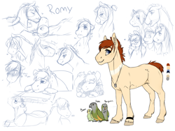 Size: 1600x1205 | Tagged: safe, artist:royvdhel-art, imported from derpibooru, oc, oc only, oc:romy, bird, earth pony, pony, bust, earth pony oc, female, jewelry, mare, necklace, partial color, reference sheet, simple background, smiling, story included, unshorn fetlocks, white background