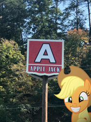 Size: 774x1032 | Tagged: safe, edit, editor:undeadponysoldier, imported from ponybooru, photographer:undeadponysoldier, applejack, earth pony, pony, cute, dollywood, female, grin, happy, hat, irl, jackabetes, mare, namesake, parking lot, photo, pigeon forge, ponies in real life, sign, smiling, tennessee