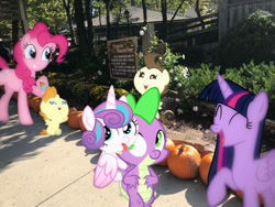 Size: 1032x774 | Tagged: safe, edit, editor:undeadponysoldier, imported from ponybooru, pinkie pie, pound cake, princess flurry heart, pumpkin cake, spike, twilight sparkle, alicorn, dragon, earth pony, pegasus, pony, unicorn, amusement park, baby, baby pony, colt, cute, dollywood, dragons in real life, family fun, family photo, female, filly, happy, hug, irl, looking at you, male, mare, photo, pigeon forge, piggyback ride, ponies in real life, pumpkin, raised hoof, raised leg, spikelove, tennessee, tongue out, twilight sparkle (alicorn), vacation