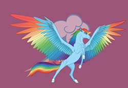 Size: 1280x887 | Tagged: safe, artist:soaringdragonpl, imported from derpibooru, rainbow dash, horse, pegasus, pony, colored wings, cutie mark background, female, gradient wings, hoers, mare, multicolored wings, rainbow wings, rearing, solo, spread wings, wings