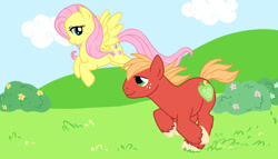 Size: 929x533 | Tagged: artist needed, safe, imported from derpibooru, big macintosh, fluttershy, earth pony, pegasus, pony, female, fluttermac, flying, looking at each other, male, mare, missing accessory, running, shipping, smiling, smiling at each other, stallion, straight, windswept mane