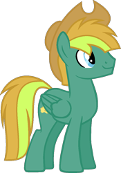 Size: 753x1078 | Tagged: safe, artist:pegasski, imported from derpibooru, oc, oc only, oc:texton, pegasus, pony, hat, male, simple background, solo, stallion, transparent background