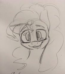 Size: 3120x3579 | Tagged: safe, artist:packy paca, imported from derpibooru, pinkie pie, pony, bust, high res, looking at you, monochrome, pencil drawing, photo, ponk, smiling, solo, traditional art