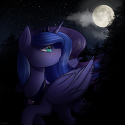 Size: 2200x2200 | Tagged: safe, artist:cottonaime, imported from derpibooru, princess luna, alicorn, pony, crying, female, forest, high res, looking back, looking up, mare, moon, raised hoof, solo, starry night, stars, tree