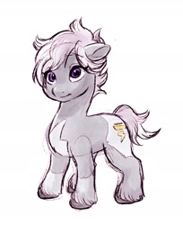 Size: 1364x1669 | Tagged: safe, artist:ruri0824tby, imported from derpibooru, oc, oc only, oc:silver bolt, earth pony, pony, coat markings, female, g4, g4 to g5, g5, mare, simple background, solo, unshorn fetlocks, white background