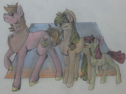 Size: 1280x950 | Tagged: safe, artist:unknownfilters, imported from derpibooru, apple bloom, applejack, big macintosh, earth pony, pony, female, filly, male, mare, siblings, stallion, traditional art