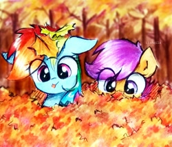 Size: 2328x1994 | Tagged: safe, artist:liaaqila, imported from derpibooru, rainbow dash, scootaloo, pegasus, pony, :p, autumn, cute, cutealoo, dashabetes, duo, eye clipping through hair, female, filly, floppy ears, foal, leaves, liaaqila is trying to murder us with dashabetes, looking at you, mare, tongue out, traditional art