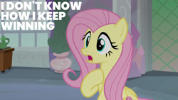 Size: 1280x720 | Tagged: safe, edit, edited screencap, editor:quoterific, imported from derpibooru, screencap, fluttershy, pegasus, pony, non-compete clause, season 8, spoiler:s08, female, mare, open mouth, school of friendship, solo