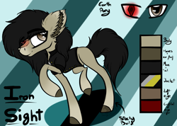 Size: 2441x1736 | Tagged: safe, artist:beamybutt, imported from derpibooru, oc, oc only, oc:iron sights, earth pony, pony, abstract background, clothes, ear fluff, earth pony oc, heterochromia, male, raised hoof, signature, solo, stallion
