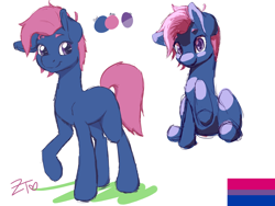Size: 4000x3000 | Tagged: safe, artist:zombietator, imported from derpibooru, oc, oc only, earth pony, pony, bisexual pride flag, duo, female, mare, pride, pride flag, raised hoof, signature, simple background, white background