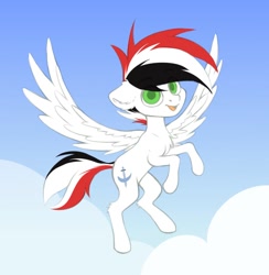 Size: 880x900 | Tagged: safe, artist:pollynia, imported from derpibooru, oc, oc only, oc:damien de fidel, pegasus, chest fluff, cloud, colored, ear fluff, flat colors, flying, simple background, sky