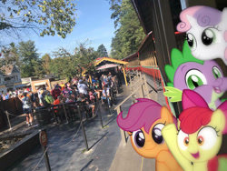 Size: 1032x774 | Tagged: safe, edit, editor:undeadponysoldier, imported from ponybooru, photographer:undeadponysoldier, apple bloom, scootaloo, spike, sweetie belle, dragon, earth pony, human, pegasus, pony, unicorn, :3, adorabloom, amusement park, amusement ride, cute, cutealoo, cutie mark crusaders, diasweetes, dollywood, edited photo, female, filly, happy, irl, irl human, male, photo, pigeon forge, ponies in real life, ride, riding, spikabetes, steam train, tennessee, train, train car, waving