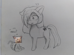 Size: 4096x3072 | Tagged: safe, artist:seylan, imported from derpibooru, oc, oc:araki, cat, pony, traditional art