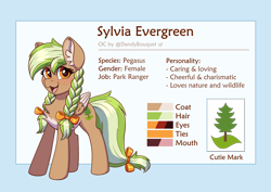 Size: 3333x2356 | Tagged: safe, artist:dandy, imported from derpibooru, oc, oc only, oc:sylvia evergreen, pegasus, pony, blushing, braid, braided pigtails, chest fluff, cute, freckles, hair tie, high res, looking at you, ocbetes, open mouth, reference sheet, solo, white belly, wings