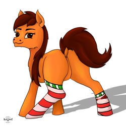 Size: 1280x1280 | Tagged: safe, artist:palettenight, imported from derpibooru, oc, oc only, oc:palettenight, earth pony, pony, butt, clothes, looking at you, looking back, plot, shadow, simple background, socks, solo, striped socks, tail, white background