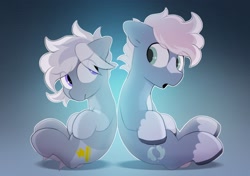 Size: 2064x1457 | Tagged: safe, artist:mochi_nation, imported from derpibooru, oc, oc:silver bolt, oc:water socks, earth pony, pony, back to back, coat markings, duo, eye clipping through hair, female, looking at each other, looking back, male, mare, sitting, socks (coat markings), stallion