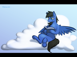 Size: 2708x2000 | Tagged: safe, artist:phlerius, imported from derpibooru, oc, oc only, oc:glorious shark, pegasus, pony, book, cloud, heterochromia, high res, solo, wings