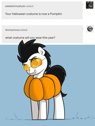 Size: 1948x2596 | Tagged: safe, artist:vipy, imported from derpibooru, oc, oc only, oc:vipy, earth pony, pony, pumpkin, solo