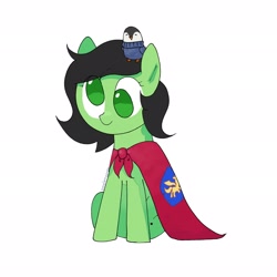 Size: 2048x2048 | Tagged: safe, artist:omelettepony, imported from derpibooru, oc, oc:filly anon, cape, clothes, cmc cape, derp, female, filly, plushie, simple background, sitting, white background