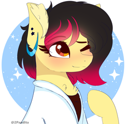 Size: 3380x3318 | Tagged: safe, artist:2pandita, imported from derpibooru, oc, oc only, earth pony, pony, clothes, female, high res, mare, one eye closed, simple background, solo, white background, wink