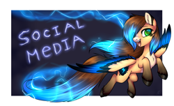 Size: 3002x1820 | Tagged: safe, artist:megabait, imported from derpibooru, oc, oc:megabait, pegasus, pony, advertising, lightning, social media