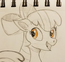 Size: 2048x1978 | Tagged: safe, artist:polar_storm, imported from derpibooru, apple bloom, earth pony, pony, female, filly, happy, sketch, solo, traditional art