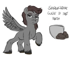 Size: 977x775 | Tagged: safe, imported from derpibooru, oc, oc only, oc:shadowstone, pegasus, pony, female, g5, mare, my little pony: a new generation, pegasus oc, solo