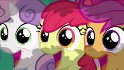 Size: 2208x1242 | Tagged: safe, imported from ponybooru, screencap, apple bloom, scootaloo, sweetie belle, earth pony, pegasus, pony, unicorn, hearts and hooves day (episode), adorabloom, bow, bush, cute, cutealoo, cutie mark crusaders, diasweetes, female, filly, hair bow, happy, hiding, looking at you, open mouth, trio