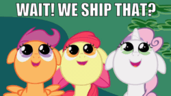 Size: 960x536 | Tagged: safe, edit, edited screencap, editor:undeadponysoldier, imported from ponybooru, screencap, apple bloom, scootaloo, sweetie belle, earth pony, pegasus, pony, unicorn, hearts and hooves day (episode), bow, caption, confused, cutie mark crusaders, disappointed, disgusted, female, filly, hair bow, happy, image macro, implied shipping, meme, scrunchy face, shipper not on deck, shipping denied, text, trio, unsure