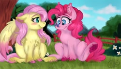 Size: 1300x740 | Tagged: safe, artist:millefaller, imported from derpibooru, fluttershy, pinkie pie, butterfly, earth pony, pegasus, pony, blushing, butterfly on nose, chest fluff, colored wings, ear fluff, female, fence, flower, fluffy, flutterpie, grass, insect on nose, lesbian, looking at someone, looking at something, mare, outdoors, shipping, signature, sitting, smiling, spread wings, tree, two toned wings, under the tree, unshorn fetlocks, wings