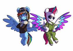 Size: 3947x2791 | Tagged: safe, artist:chub-wub, imported from derpibooru, part of a set, rainbow dash, zipp storm, pegasus, pony, aviator goggles, aviator hat, bomber jacket, clothes, costume, duo, g4, g5, goggles, halloween, halloween costume, hat, high res, holiday, jacket, my little pony: a new generation, scarf, simple background, sunglasses, uniform, white background