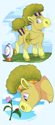 Size: 1500x3401 | Tagged: safe, artist:owlcoholik, imported from derpibooru, oc, oc only, oc:broccoli sprout, insect, ladybug, pony, american football, female, filly, flower, offspring, parent:bulk biceps, parent:tree hugger, parents:bulkhugger, solo, sports