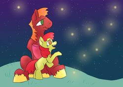 Size: 1980x1400 | Tagged: safe, artist:paleheart-arts, imported from derpibooru, apple bloom, big macintosh, earth pony, firefly (insect), insect, pony, bow, colored hooves, female, filly, male, missing freckles, night, siblings, stallion, stars, unshorn fetlocks