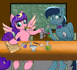 Size: 2532x2310 | Tagged: safe, artist:starsilk, imported from derpibooru, oc, oc only, oc:star silk, oc:vibrant grove, pegasus, pony, alchemy, blushing, bowtie, chalkboard, chest fluff, classroom, crush, cute, flower, high res, innocent, magnifying glass, mortar and pestle, pencil in mouth, pi, potions