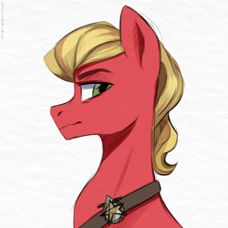 Size: 2200x2200 | Tagged: safe, artist:cottonaime, imported from derpibooru, sprout cloverleaf, earth pony, pony, bust, frown, g5, high res, looking at you, male, my little pony: a new generation, solo, stallion