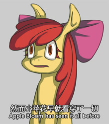 Size: 700x799 | Tagged: safe, artist:sonicdramon, imported from derpibooru, apple bloom, earth pony, pony, chinese, chinese meme, female, filly, meme, shocked, solo, text