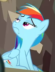 Size: 500x663 | Tagged: safe, imported from derpibooru, screencap, rainbow dash, pony, daring done?, cropped, solo